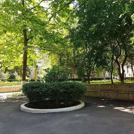 Trandafirul Apartment